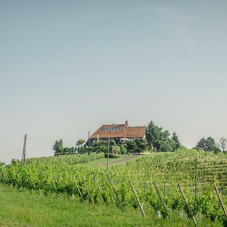 Taverna & Wine Jeruzalem Ivanjkovci Экстерьер фото