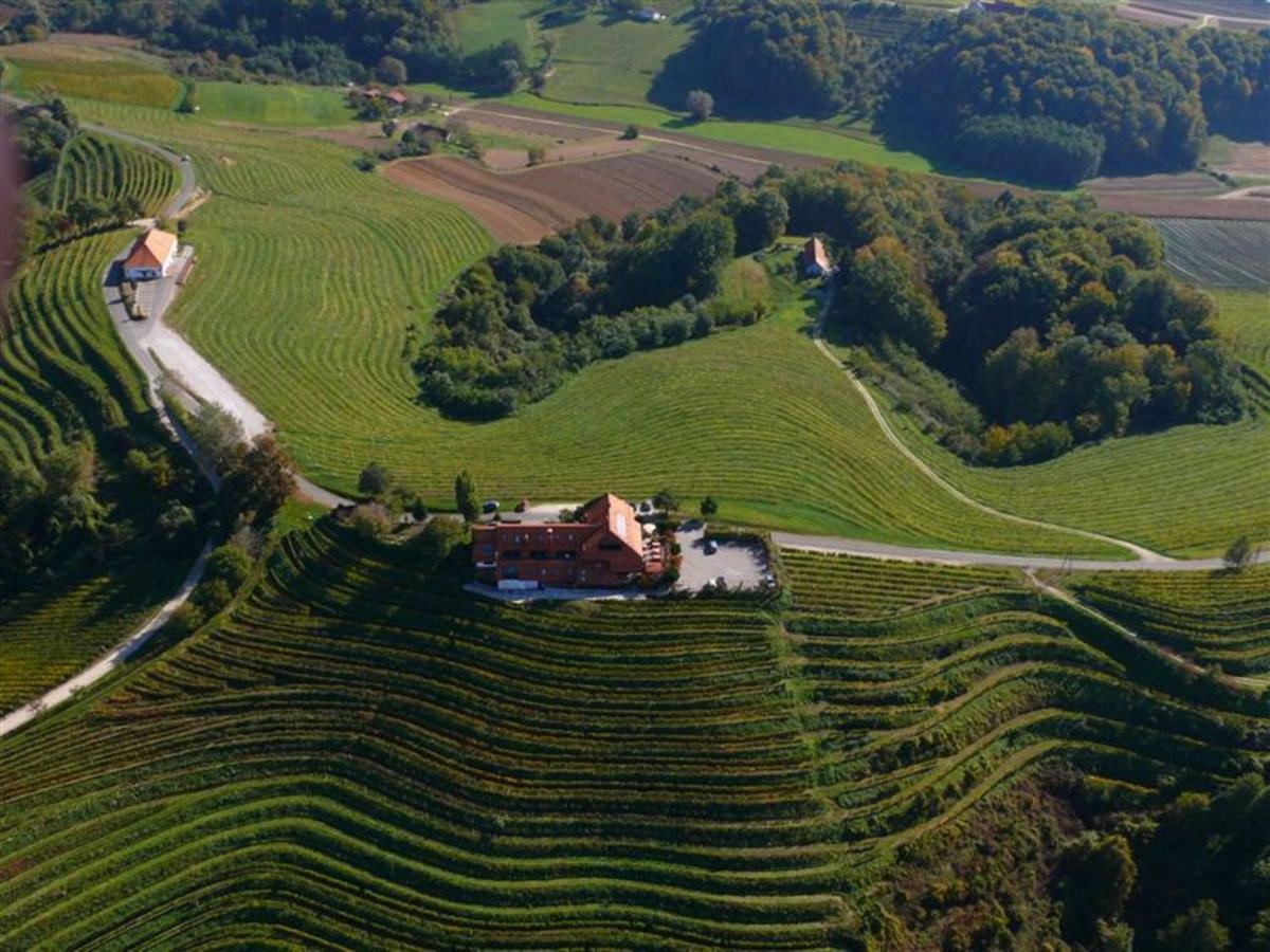 Taverna & Wine Jeruzalem Ivanjkovci Экстерьер фото