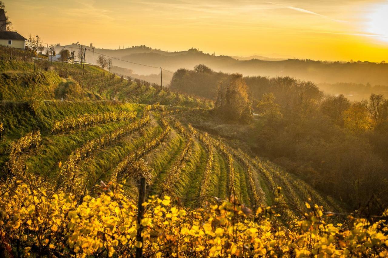 Taverna & Wine Jeruzalem Ivanjkovci Экстерьер фото