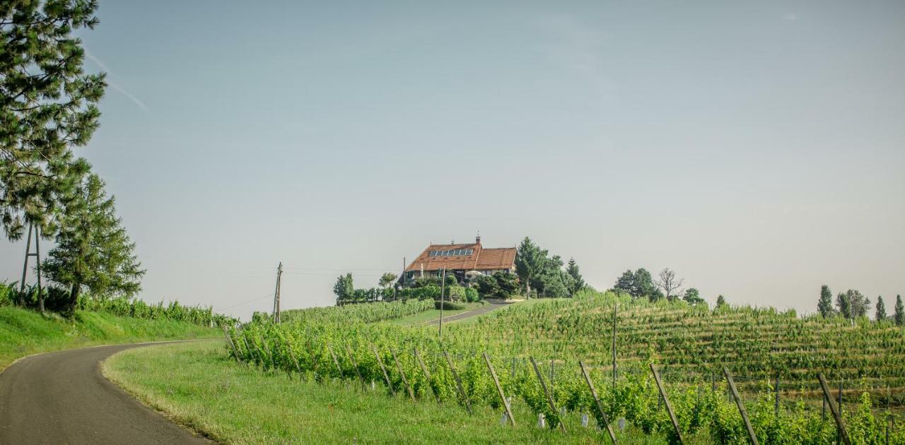 Taverna & Wine Jeruzalem Ivanjkovci Экстерьер фото